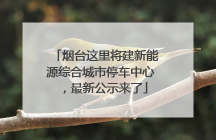 烟台这里将建新能源综合城市停车中心，最新公示来了