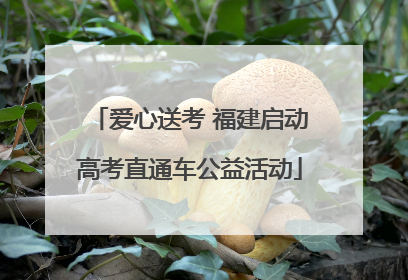 爱心送考 福建启动高考直通车公益活动