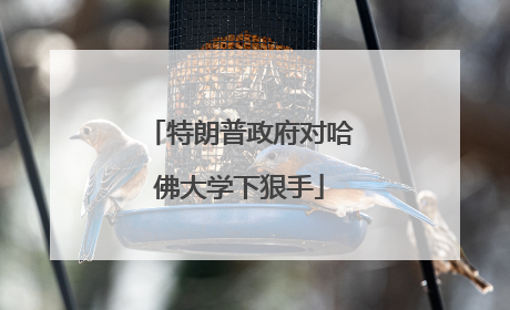 特朗普政府对哈佛大学下狠手