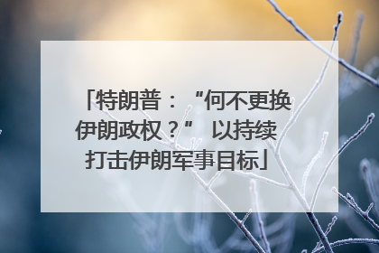 特朗普：“何不更换伊朗政权？” 以持续打击伊朗军事目标