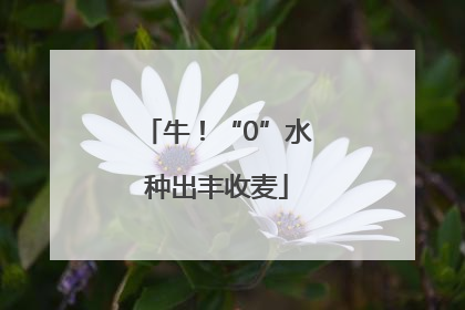 牛！“0”水种出丰收麦