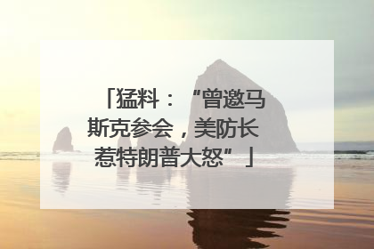 猛料：“曾邀马斯克参会，美防长惹特朗普大怒”