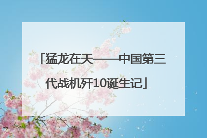 猛龙在天——中国第三代战机歼10诞生记