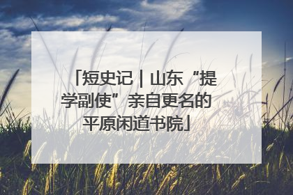 短史记｜山东“提学副使”亲自更名的平原闲道书院