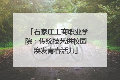 石家庄工商职业学院：传统技艺进校园焕发青春活力