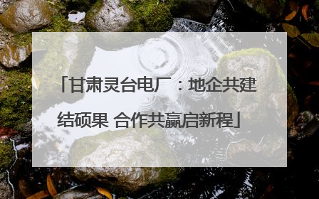 甘肃灵台电厂：地企共建结硕果 合作共赢启新程
