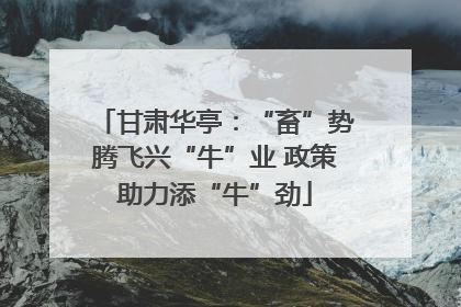 甘肃华亭：“畜”势腾飞兴“牛”业 政策助力添“牛”劲