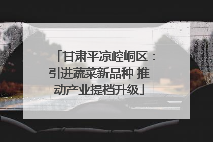 甘肃平凉崆峒区：引进蔬菜新品种 推动产业提档升级