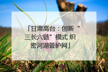 甘肃高台：创新“三长六链”模式 织密河湖管护网