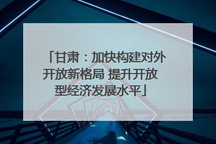 甘肃：加快构建对外开放新格局 提升开放型经济发展水平