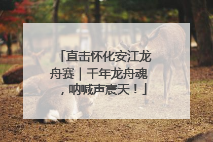 直击怀化安江龙舟赛｜千年龙舟魂，呐喊声震天！