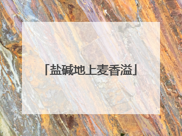 盐碱地上麦香溢