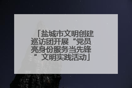 盐城市文明创建巡访团开展“党员亮身份服务当先锋”文明实践活动