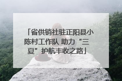 省供销社驻正阳县小陈村工作队 助力“三夏”护航丰收之路