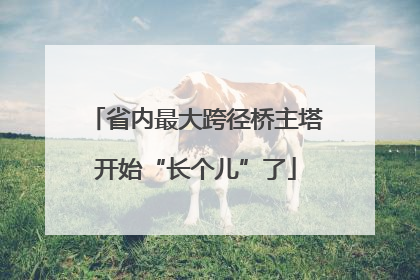 省内最大跨径桥主塔开始“长个儿”了