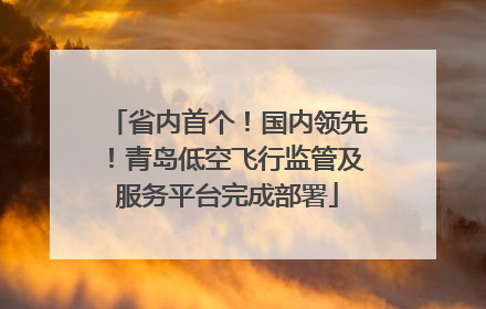 省内首个！国内领先！青岛低空飞行监管及服务平台完成部署