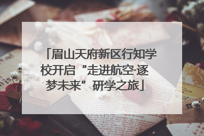 眉山天府新区行知学校开启“走进航空·逐梦未来”研学之旅