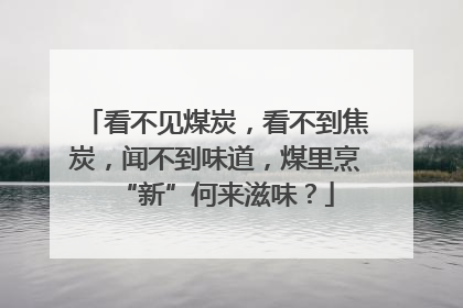 看不见煤炭，看不到焦炭，闻不到味道，煤里烹“新”何来滋味？
