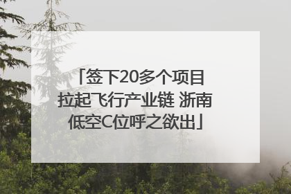 签下20多个项目 拉起飞行产业链 浙南低空C位呼之欲出