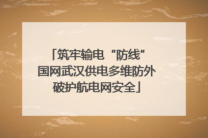 筑牢输电“防线” 国网武汉供电多维防外破护航电网安全