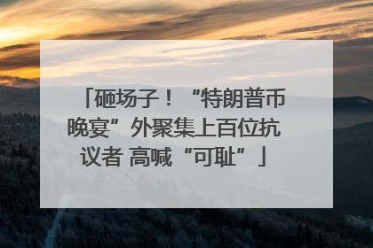 砸场子！“特朗普币晚宴”外聚集上百位抗议者 高喊“可耻”