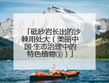 砒砂岩长出的沙棘用处大（美丽中国·生态治理中的特色植物③）