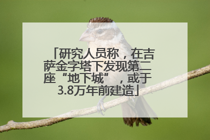 研究人员称，在吉萨金字塔下发现第二座“地下城”，或于3.8万年前建造