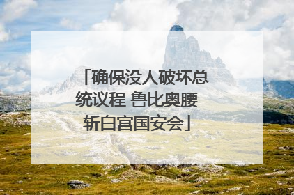 确保没人破坏总统议程 鲁比奥腰斩白宫国安会