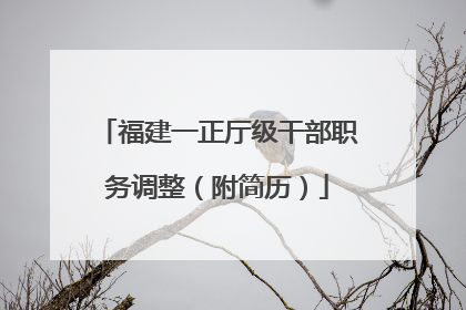 福建一正厅级干部职务调整（附简历）