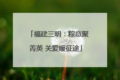 福建三明：粽意聚菁英 关爱暖征途