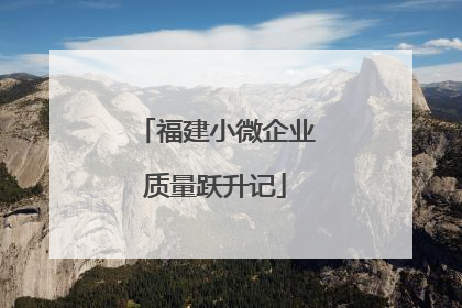 福建小微企业质量跃升记