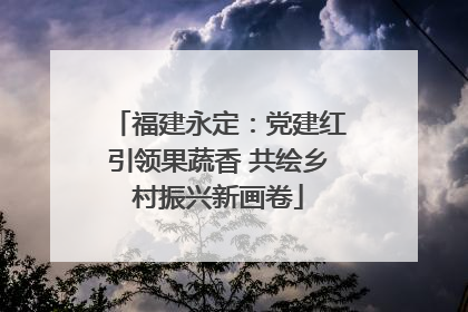 福建永定：党建红引领果蔬香 共绘乡村振兴新画卷