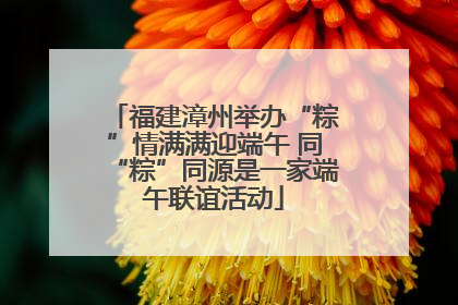 福建漳州举办“粽”情满满迎端午 同“粽”同源是一家端午联谊活动