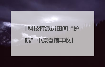 科技特派员田间“护航”中原夏粮丰收