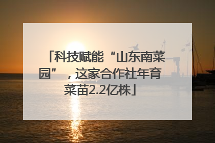 科技赋能“山东南菜园”，这家合作社年育菜苗2.2亿株