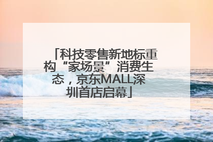 科技零售新地标重构“家场景”消费生态，京东MALL深圳首店启幕