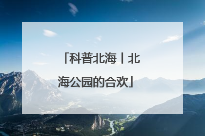 科普北海丨北海公园的合欢