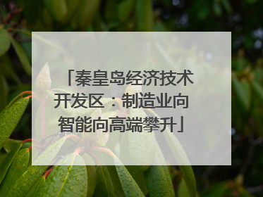 秦皇岛经济技术开发区：制造业向智能向高端攀升