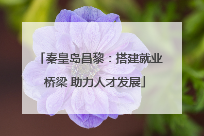 秦皇岛昌黎：搭建就业桥梁 助力人才发展