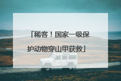 稀客！国家一级保护动物穿山甲获救