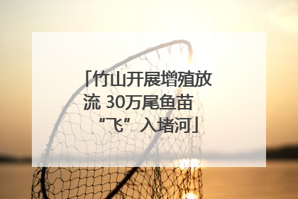 竹山开展增殖放流 30万尾鱼苗“飞”入堵河
