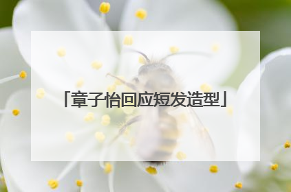 章子怡回应短发造型