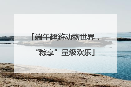 端午趣游动物世界，“粽享”量级欢乐