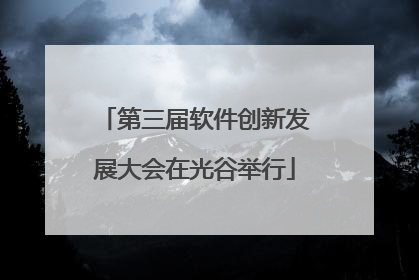 第三届软件创新发展大会在光谷举行