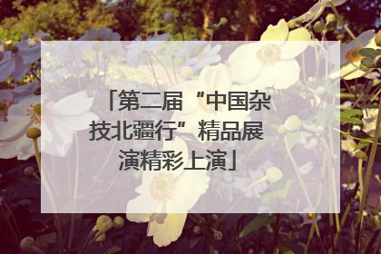 第二届“中国杂技北疆行”精品展演精彩上演