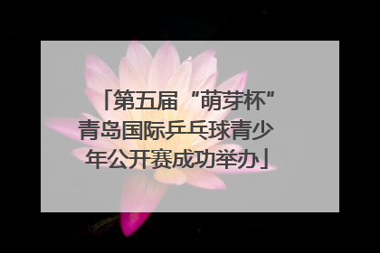 第五届“萌芽杯”青岛国际乒乓球青少年公开赛成功举办
