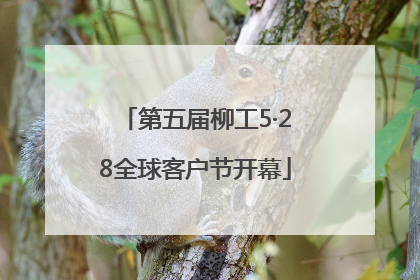 第五届柳工5·28全球客户节开幕
