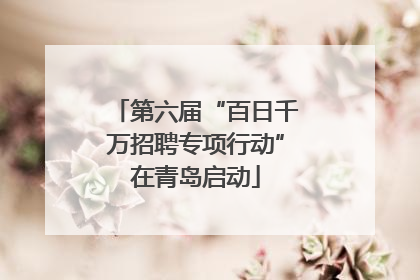 第六届“百日千万招聘专项行动”在青岛启动