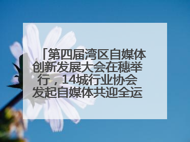 第四届湾区自媒体创新发展大会在穗举行，14城行业协会发起自媒体共迎全运会协同计划