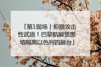 第1现场｜拒撤攻击性武器！巴黎航展竖黑墙隔离以色列四展台